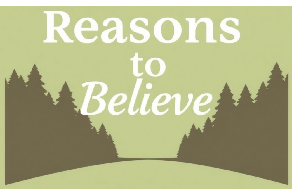 Reasons to Believe